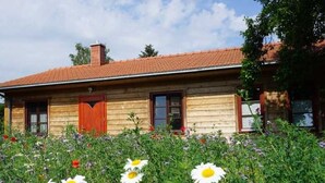 A wooden house with a red-tiled roof and a garden with daisies.