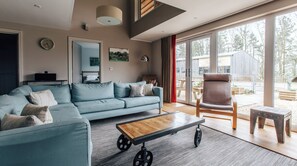 TV, perapian, pemutar DVD, dan buku