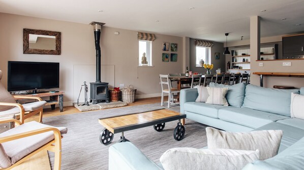 TV, fireplace, DVD player, books