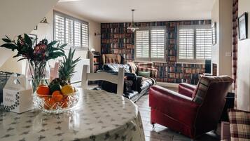 TV, fireplace, DVD player, books