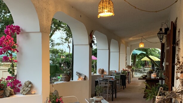 Un espace extérieur abrité, doté d’arcades, de sièges et de plantes en pot.