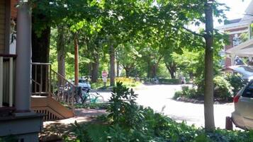 A street lined with trees and parked cars.