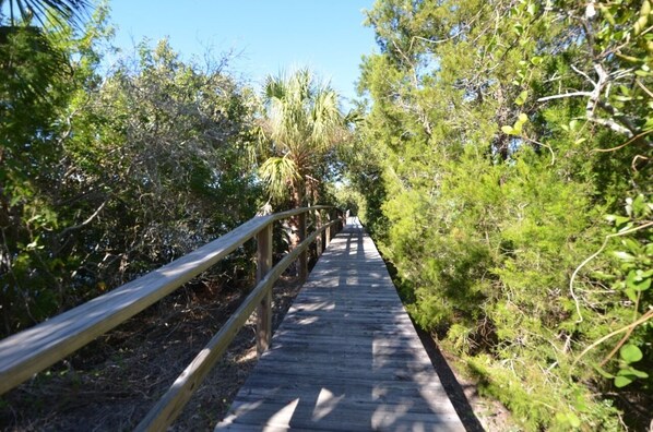A wooden boardwalk surrounded by dense vegetation and trees. - Nature's Landing B203 Seasalt in Historic CedarKey (Cedar Key)