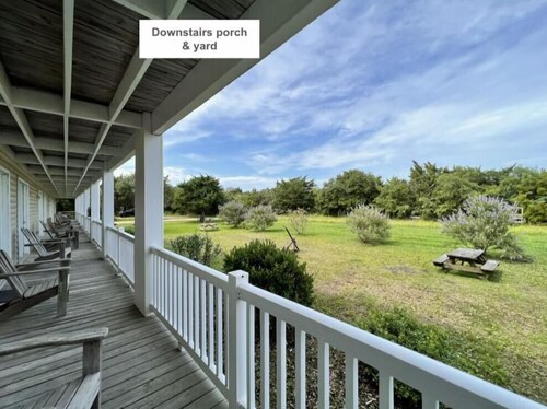 A Pelican Dance - Ocracoke Island
