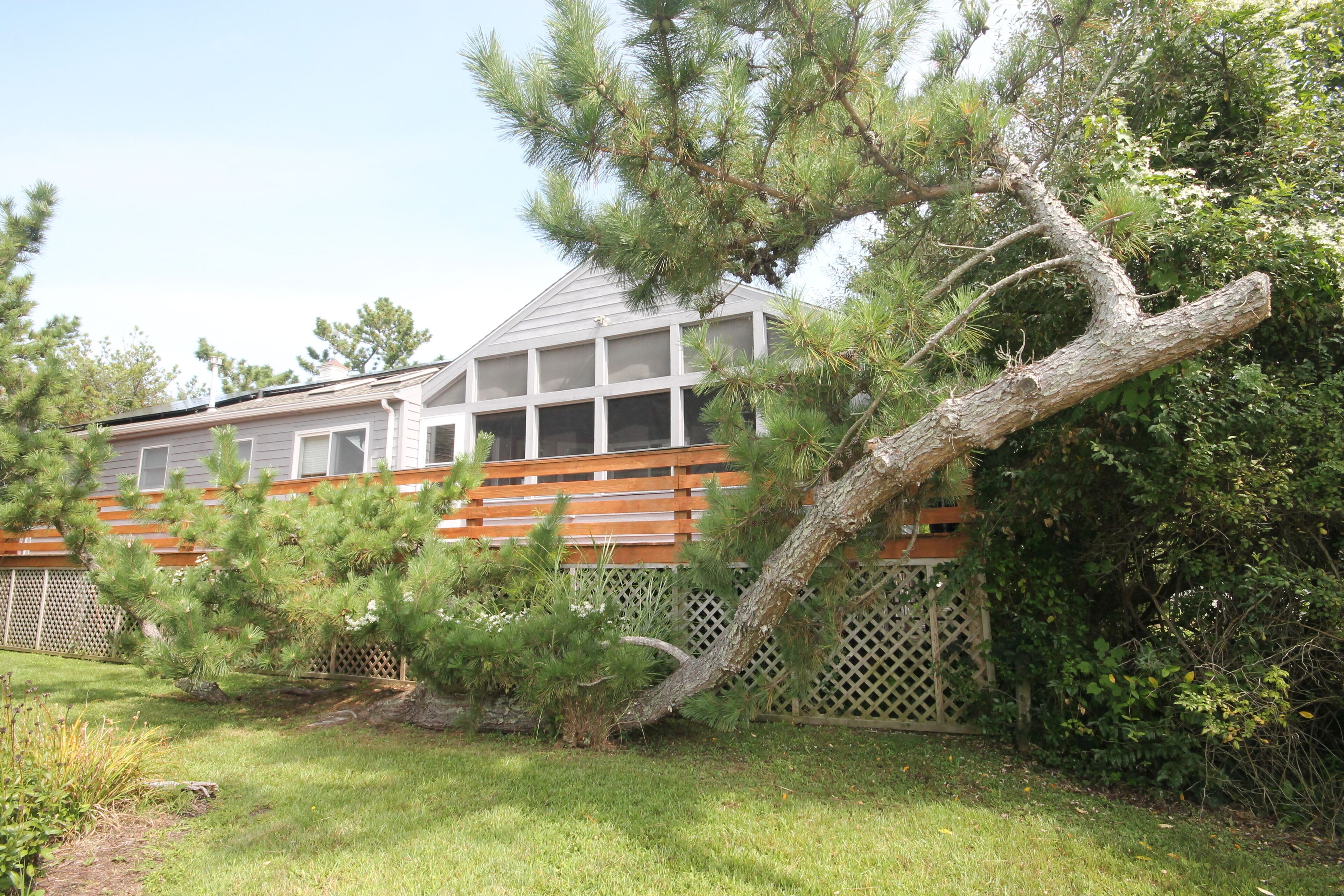 Only 2 short blocks to the beach! Fabulous 4 bedroom, 2.5 bath Cape May Point Cottage with living space on one level.