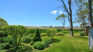 A well-maintained garden with various plants and a clear view of houses in the background.