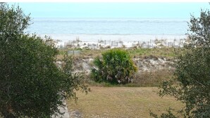 A beach view with a sandy area, a palm tree, and a fence along the shoreline. - Shipwatch A 203: Beautiful Wild Dunes Condo with Ocean Views (Isle of Palms)