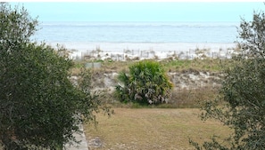 A beach view with a sandy area, a palm tree, and a fence along the shoreline. - Shipwatch A 203: Beautiful Wild Dunes Condo with Ocean Views (Isle of Palms)