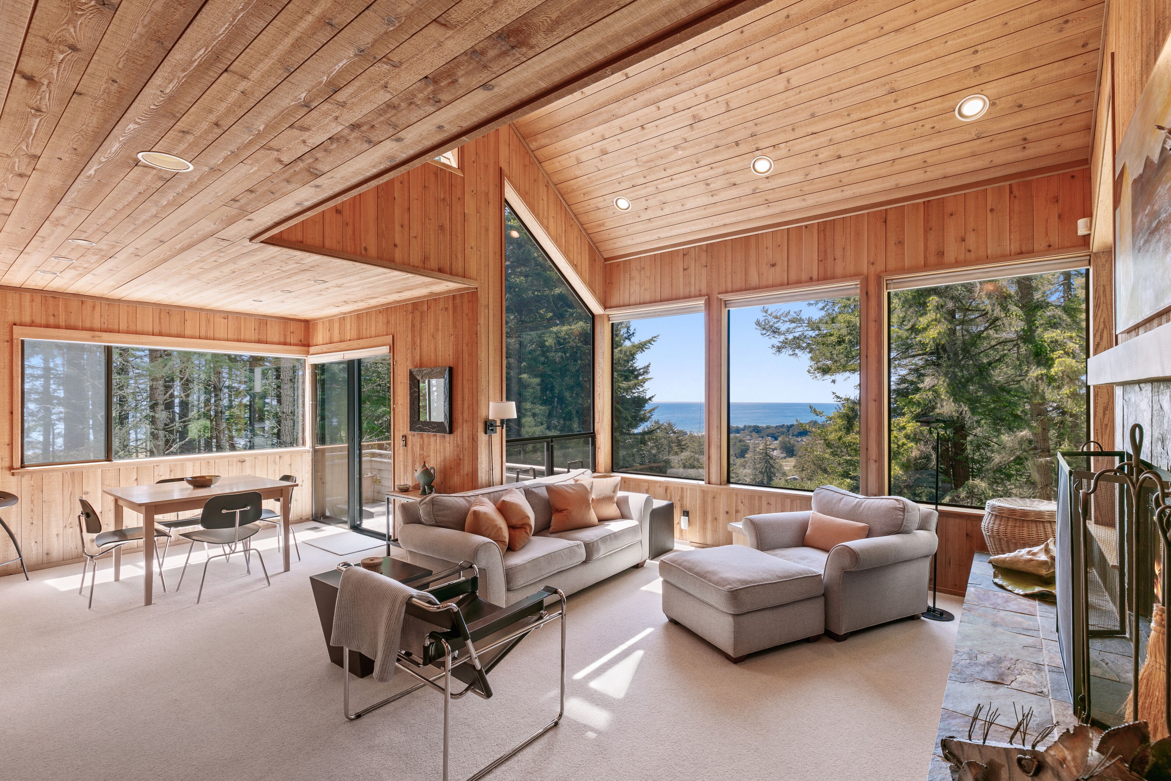 Smart-TV, peis og DVD-spiller