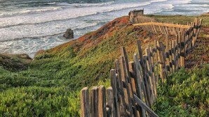 Beach - Sea Walk Retreat | Front-Row Whale Watching Condo (Sea Ranch)