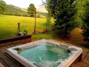 Outdoor spa tub - El Salto Log Home & Guest House wooded setting, hot tub-secluded peaceful (Arroyo Seco)