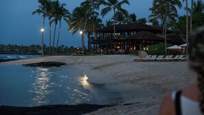 A beachfront hotel with a pool area, palm trees, and a view of the ocean.