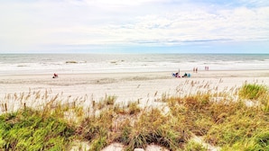 On the beach