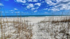 Une plage de sable avec une végétation clairsemée.
