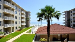 A beachfront hotel with multiple balconies, a palm tree, and a clear view of the ocean.