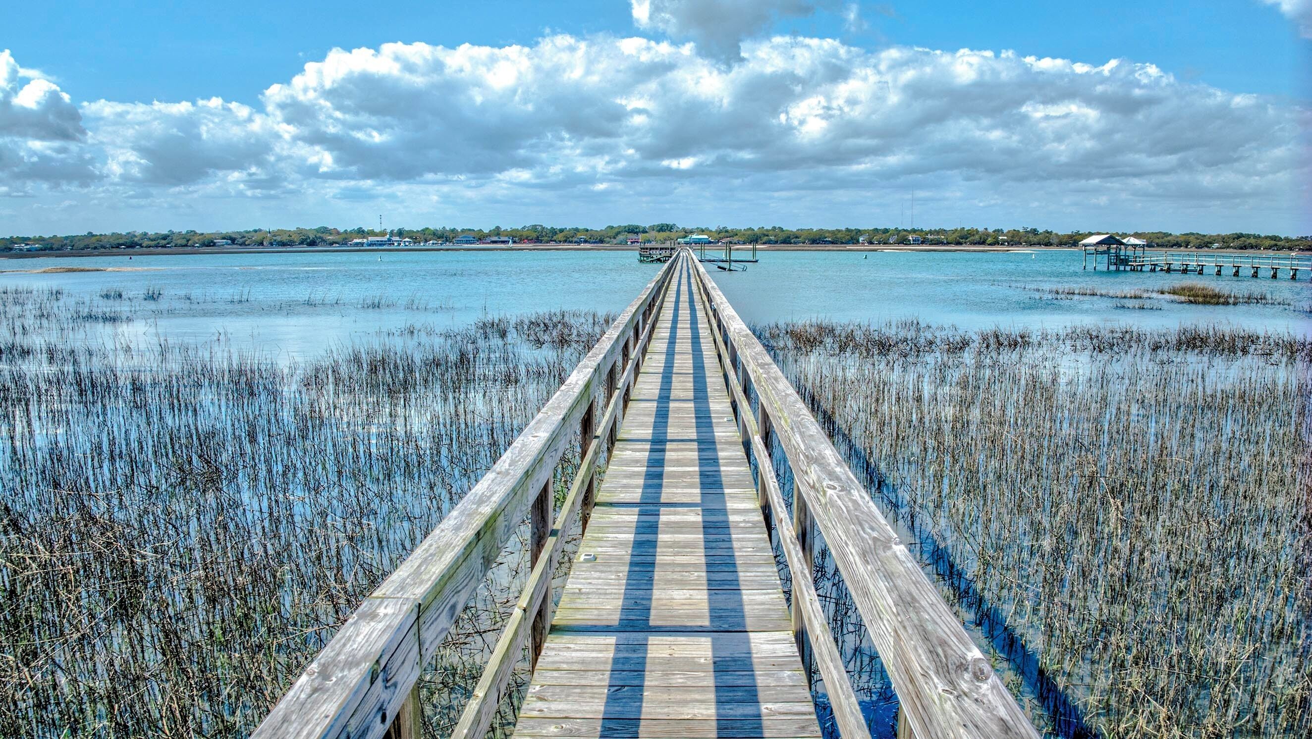 A wooden boardwalk leading to a pier over water with reeds on either side.