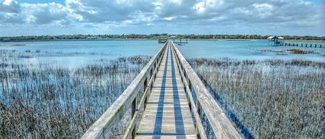 A wooden boardwalk leading to a pier over water with reeds on either side.