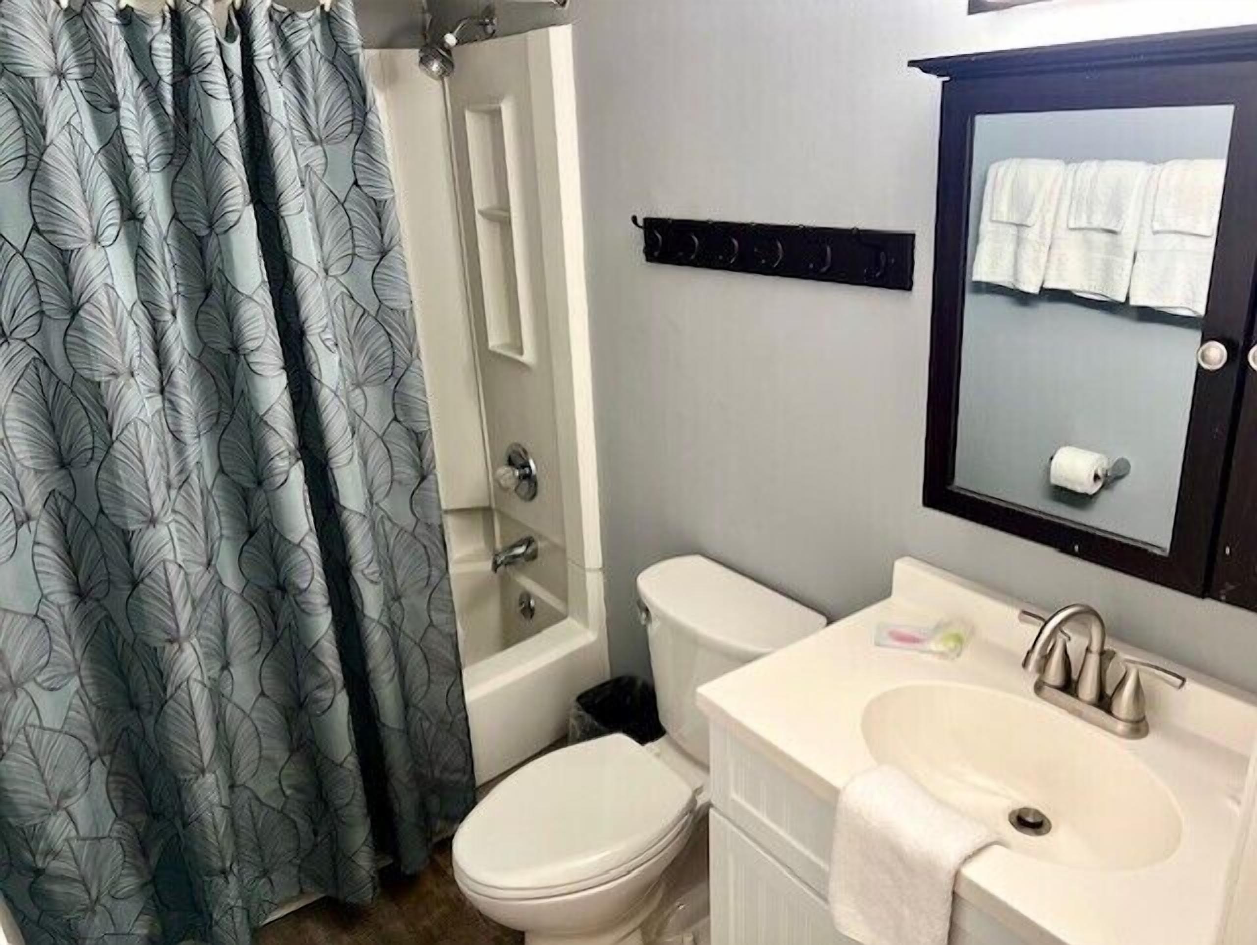 Un baño con inodoro, lavabo y espejo.
