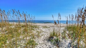 Une plage de sable avec une végétation clairsemée.