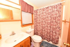 シャワー付き浴槽