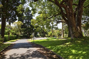 Parco della struttura