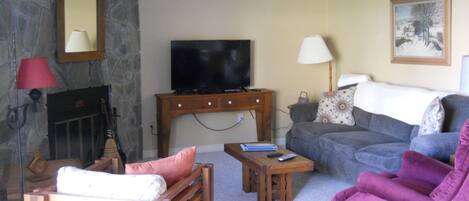 TV, lareira, DVD player