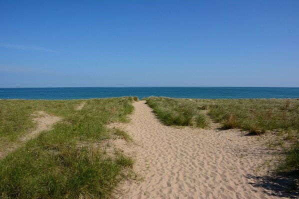 Un sendero arenoso que lleva a la playa, flanqueado por dunas cubiertas de hierba.