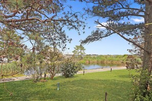 Property grounds - Shady Grove - Water views, Fireplace! (Chincoteague Island)