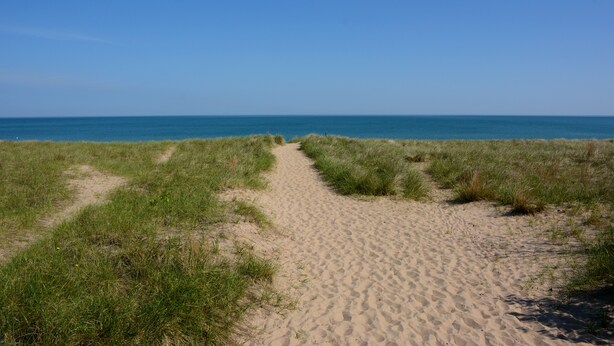 A sandy path leading to the beach with grassy dunes on either side. - Charming, Spacious Resort Beach House for 12 (Michigan City)
