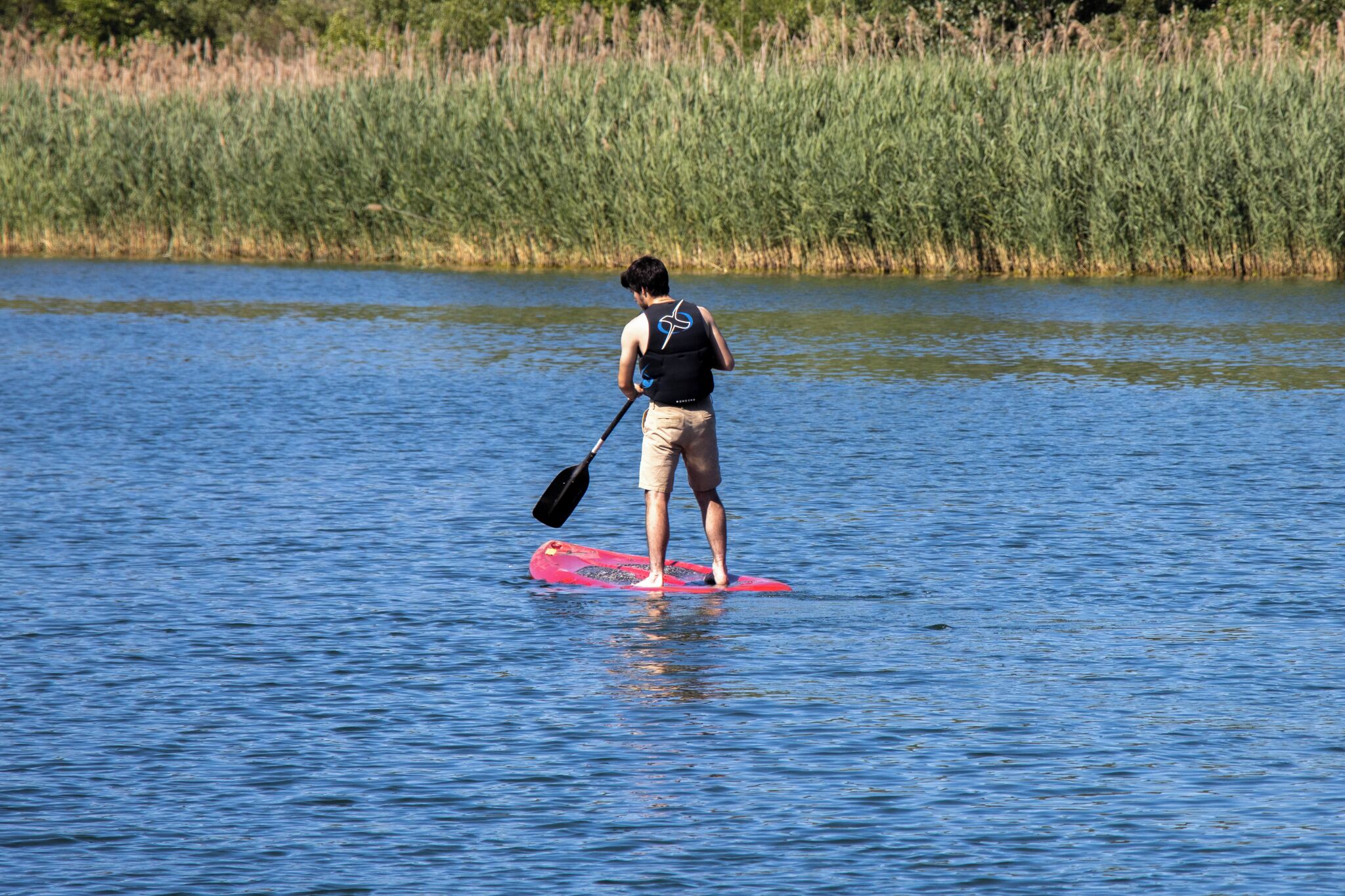 A person standing on a paddleboard in a body of water with a grassy area in the background.