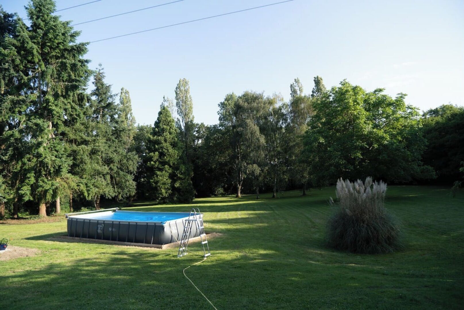 A swimming pool surrounded by a well-maintained lawn and tall trees.