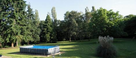 A swimming pool surrounded by a well-maintained lawn and tall trees.