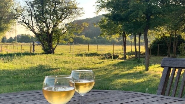 Deux verres de vin blanc sur une table en bois, avec en arrière-plan une vue sur un champ verdoyant et des arbres.