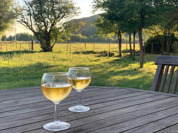 Due bicchieri di vino bianco su un tavolo di legno con vista su un prato e alberi sullo sfondo.