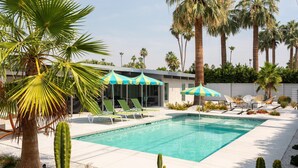 Outdoor pool - Plum Guide - Smoketree (Palm Springs)