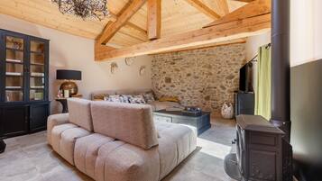 TV, fireplace, DVD player