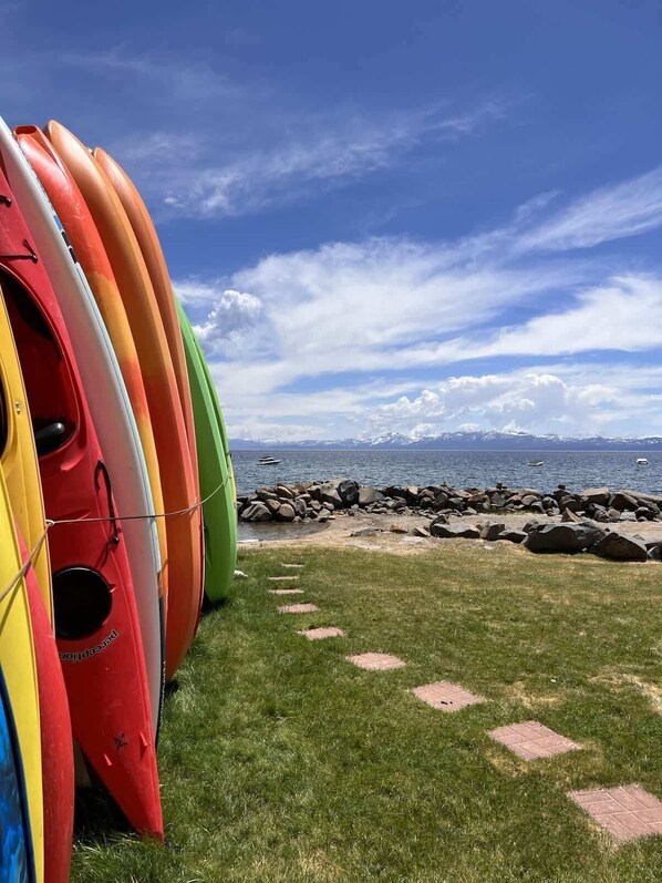 A row of colorful kayaks lined up on a grassy area with a rocky shoreline and a clear blue sky in the background.