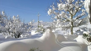 A snowy landscape with bare trees and a clear blue sky. - Sunflowers - Pink apartment  (Camerino)