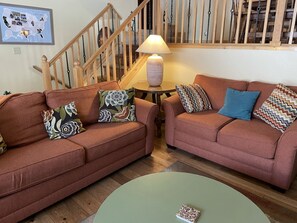 TV, fireplace, DVD player, computer monitors