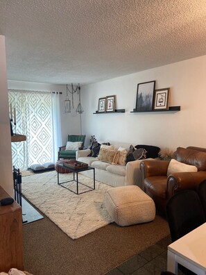 TV, fireplace, DVD player, books