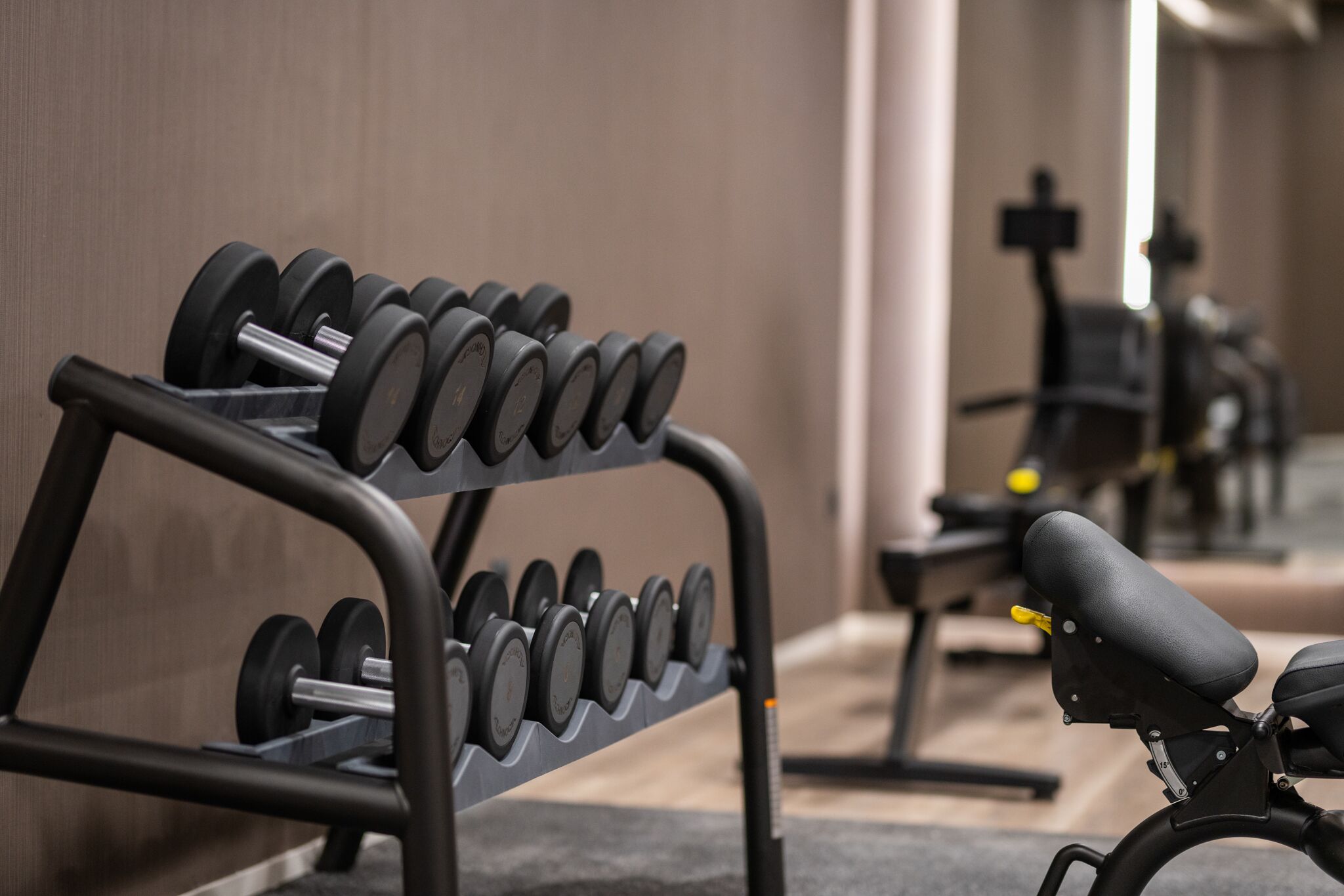 Een sportschool met een rek halters en een bank.