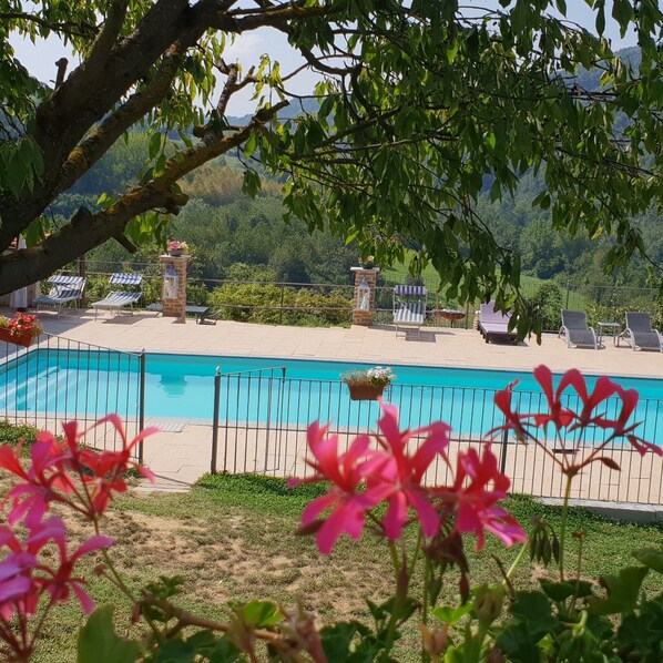 Outdoor pool - Groupaccommodation with pool and private garden near Barolo (Bonvicino)