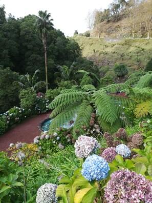 Terrain de l’hébergement 