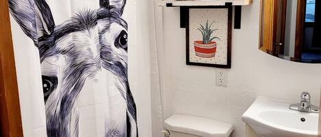 Ensemble douche/baignoire, sèche-cheveux, serviettes fournies, savon