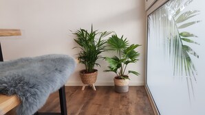 Un angle d'una habitació amb un terra de fusta, una cadira grisosa i esponjosa, i dues plantes en testos.