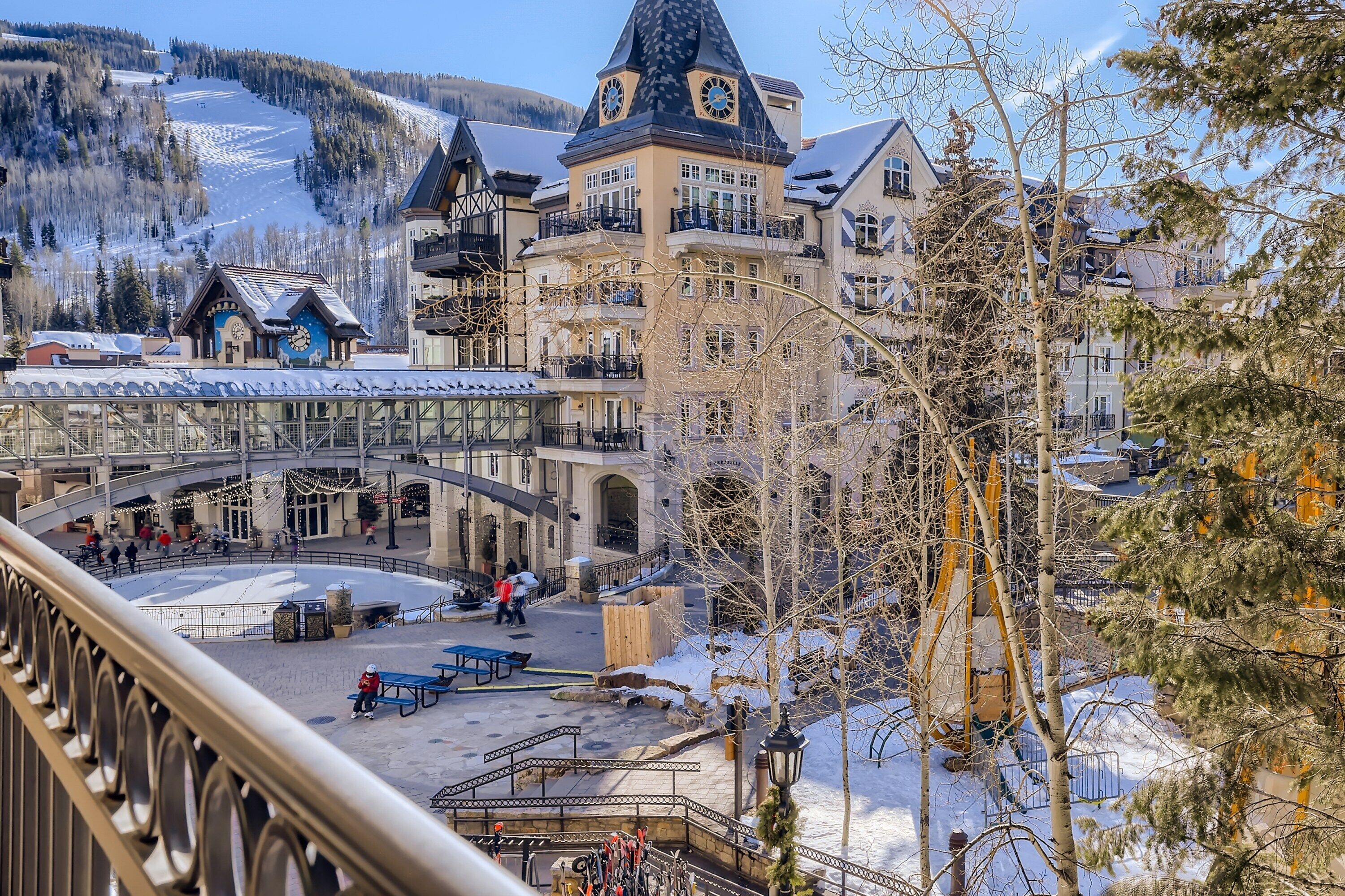 Dog Friendly Vail Lionshead, Lifthouse Studio