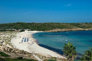 Ein Strand mit klarem, blauem Wasser, sandigem Ufer und vereinzelten Palmen.