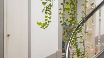 A staircase with wooden steps and a black handrail, surrounded by white walls and a hanging plant with green leaves.