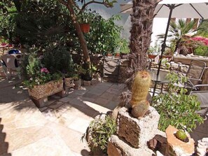 Uma área de pátio ao ar livre com piso de pedra, plantas em vasos e um cacto como peça central.