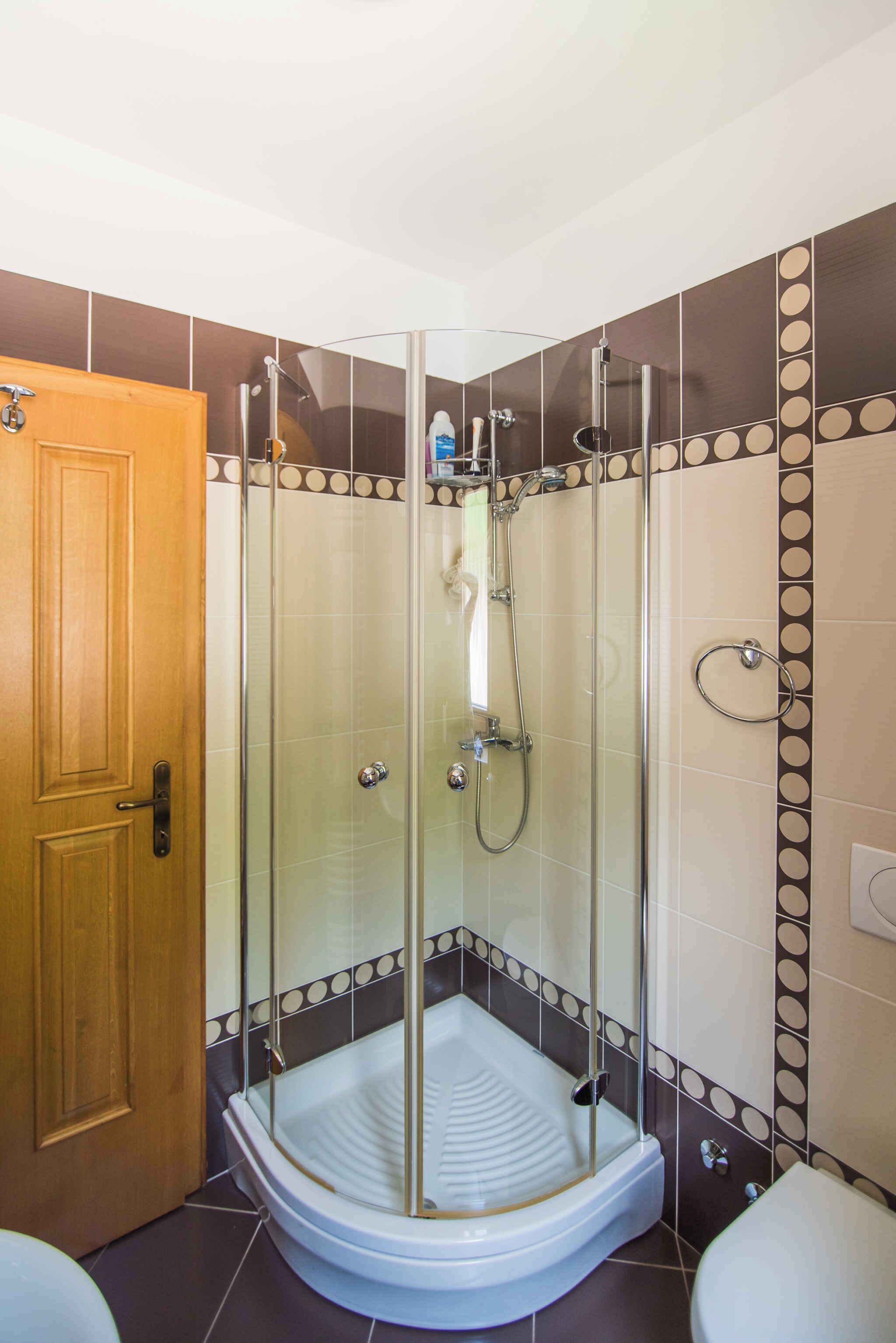A shower enclosure with a glass door, a toilet, and a wooden door.